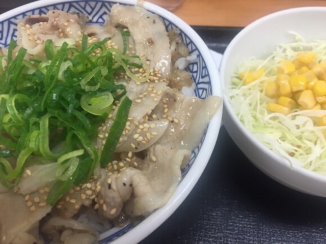 塩豚丼です。_吉野家銀座3丁目店
