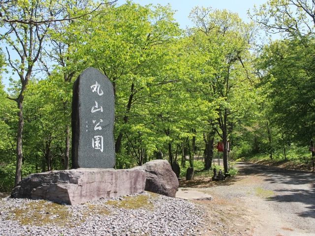 公園_丸山公園