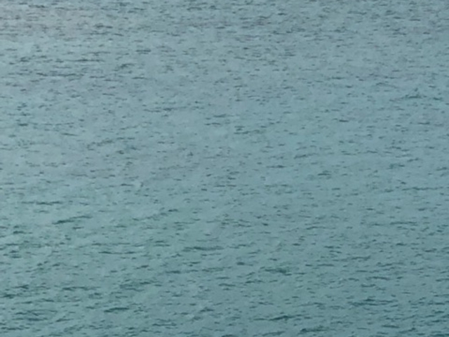 海_海人体験 サバニクルーズ石垣島
