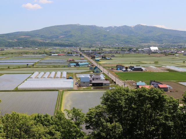深川の穀倉地帯を見下ろす_丸山公園展望台