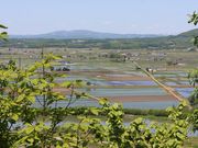 たかちゃんさんの国見峠展望台の投稿写真3