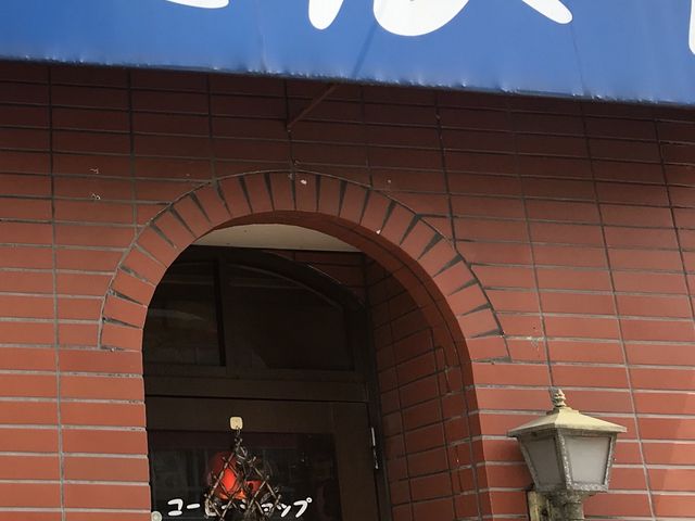 写真_どんぐり
