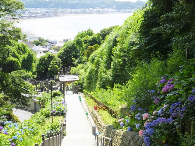 成就院(神奈川県鎌倉市)