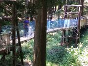 つかさめさんの手賀の丘公園の投稿写真1