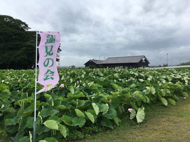 駐車場より_立田ふれあいの里