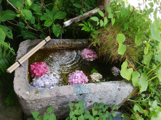 受付入り口に季節の花_みどり荘