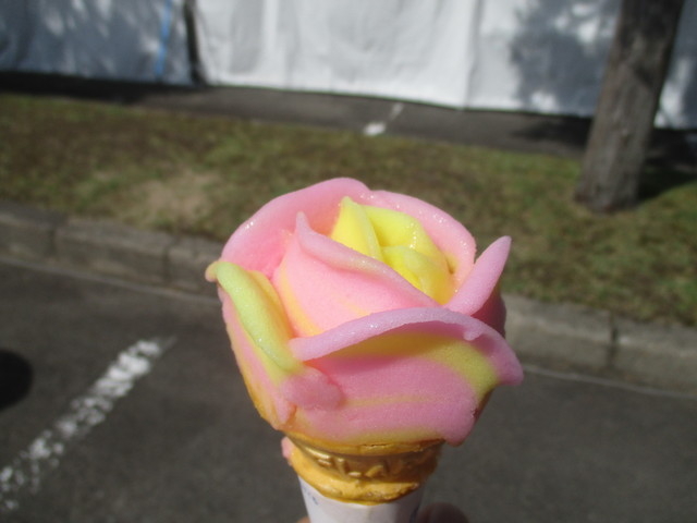 ババヘラアイス_ババヘラアイス