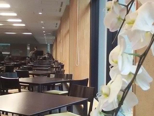 シックで落ち着いた雰囲気の学食_青山学院大学 学生食堂