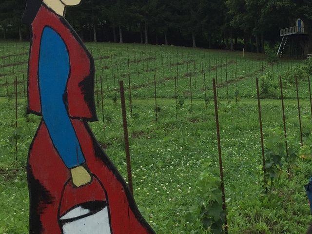 畑の中にところどころある雰囲気のある木製看板
_アリスファームブルーベリー園