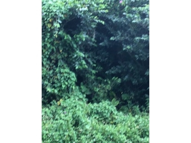 自然_岳城山