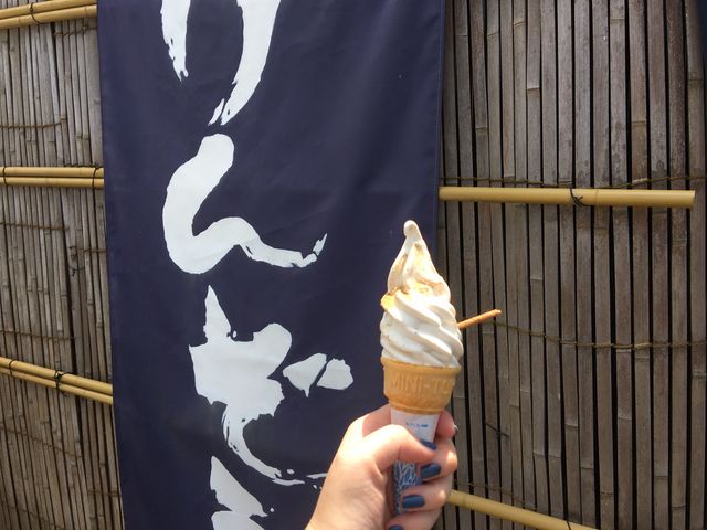けんぞうソフト_けんぞう