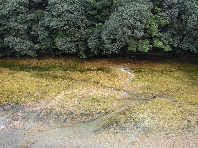 宇連川_湯谷温泉