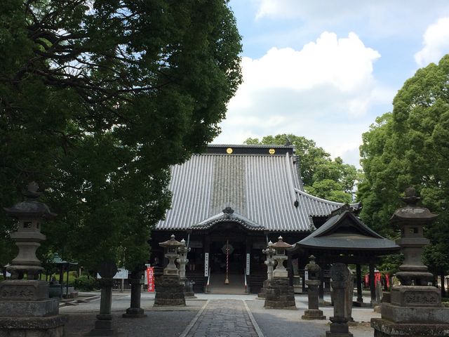 境内の横に鎮座_鑁阿寺の大いちょう