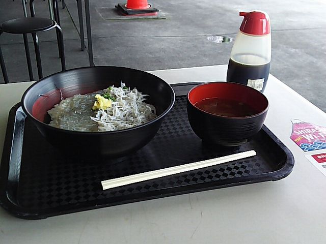 ハーフ丼_田子の浦港 漁協食堂