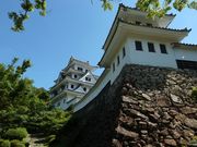 ひでちゃんさんの郡上八幡城の投稿写真1