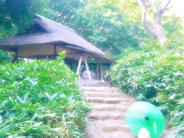 【六義園 つつじ茶屋】真夏には和傘と団扇の貸し出しがあります_六義園 つつじ茶屋