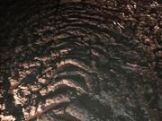 ike55jpさんの西湖蝙蝠穴の投稿写真1