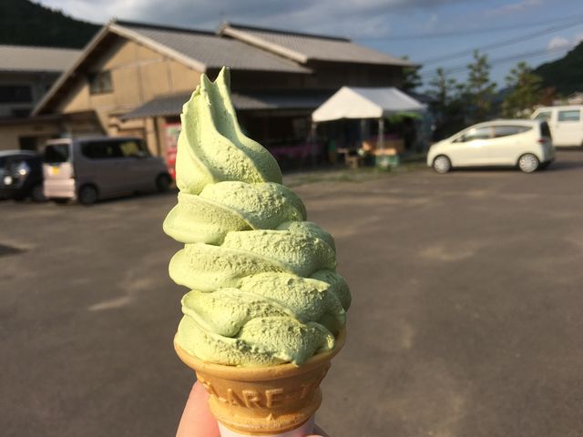写真A_お茶ちゃ村