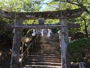 poporonさんの武雄神社(武雄五社大明神)の投稿写真3