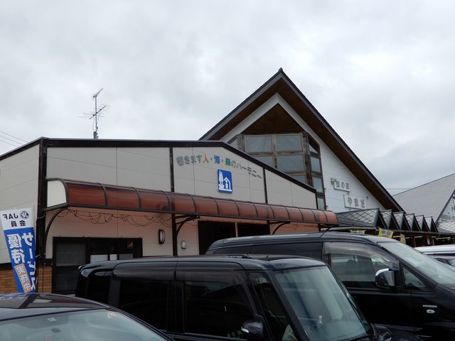 混み混みの駐車場_道の駅 やまだ