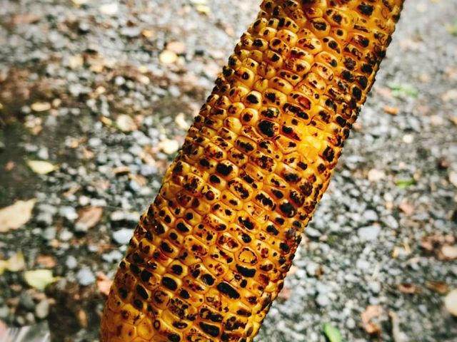 満点いっぷくやの焼きとうもろこし300円_とうもろこし街道