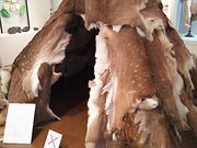 サーベルタイガーさんの岩宿博物館の投稿写真1