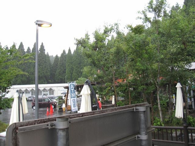 木の向こうに建物_道の駅波野