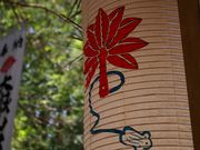 さきさんの大嶽山那賀都神社の投稿写真18