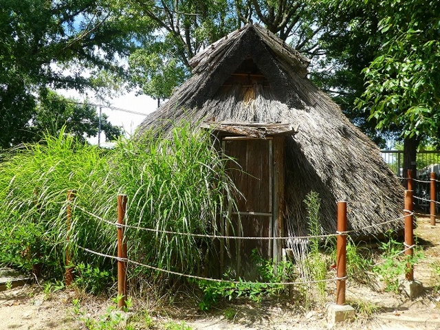 大阪府立 花の文化園_大阪府立 花の文化園