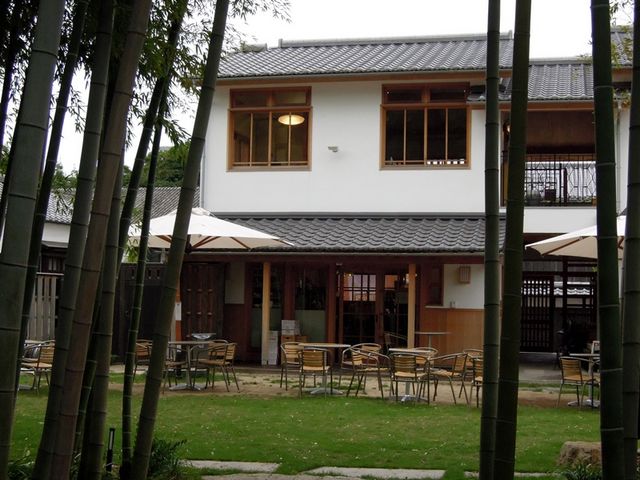 竹林が見事だ_くらしき宵待ちGARDEN