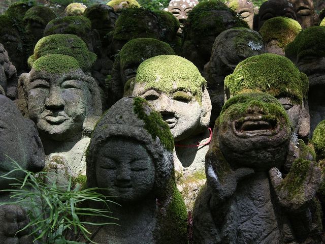 スポットライト。_愛宕念仏寺