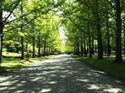 サーベルタイガーさんの山形県総合運動公園の投稿写真1