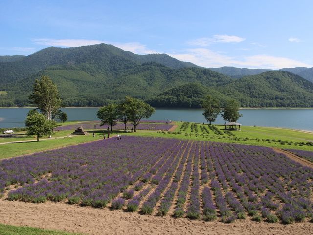 鈴かな湖面です_かなやま湖