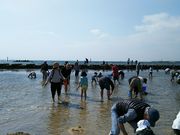 NKYさんの二色の浜潮干狩り場の投稿写真1