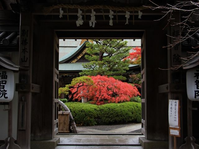 福智院の玄関。_福智院