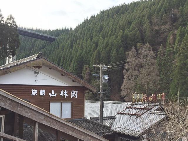 母屋の風景_山林閣