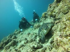 鬼平さんの石垣島ツアーガイドオールブルーへの投稿写真1