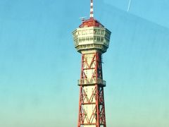 マンゴーさんのへの投稿写真1
