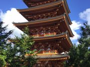 yanchaさんの成相寺の投稿写真1