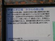 kateさんの会津若松市やすらぎ広場 ホタルの森公園の投稿写真1