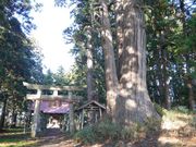 kateさんの会津若松市やすらぎ広場 ホタルの森公園の投稿写真3