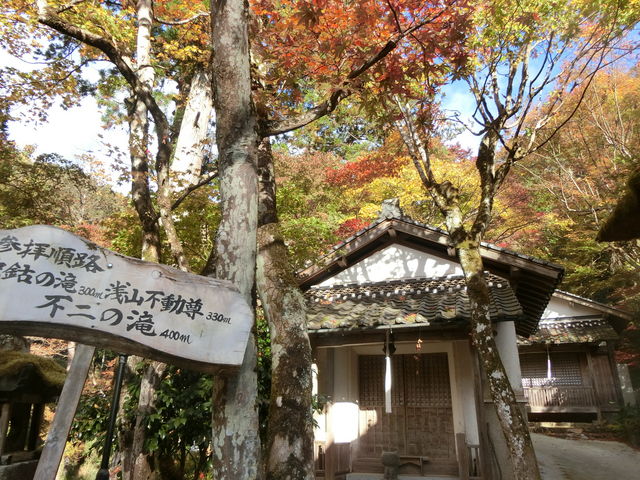 やんまあさんの岩瀧寺の紅葉の投稿写真1