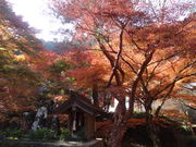 やんまあさんの小新屋観音の投稿写真1