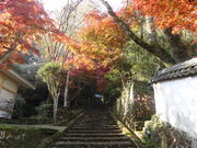 やんまあさんの常勝寺の投稿写真1
