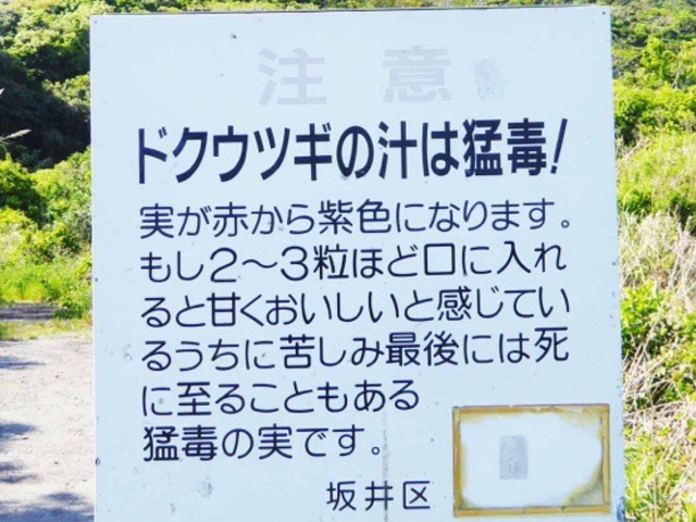 猛毒_砂山