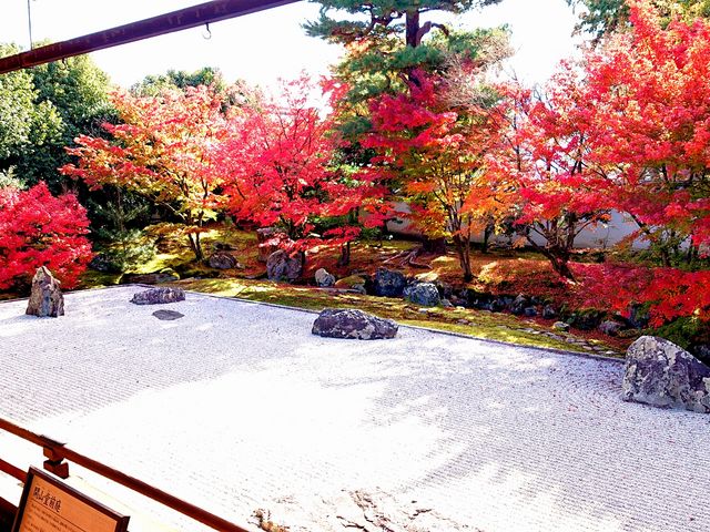 相国寺承天閣美術館