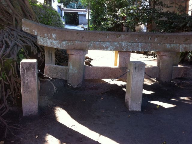 埋没鳥居_烏島展望所