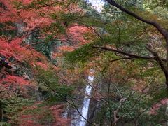 布引の滝の写真1