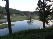 ponちゃんさんの樺崎八幡宮の投稿写真2