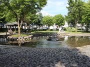 たかちゃんさんの比布町百年記念公園の投稿写真1